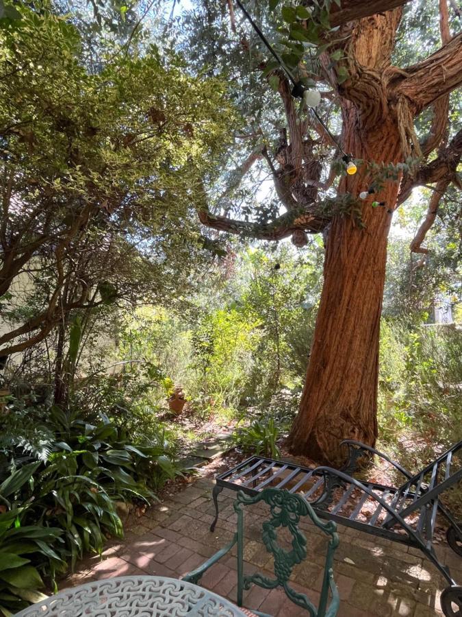 קייפטאון Constantia Guest House מראה חיצוני תמונה